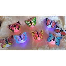 Butterfly Light