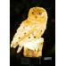 Solar Owl Light