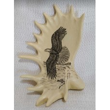 Sm Antler Eagle