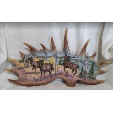 Elk Herd on Antler