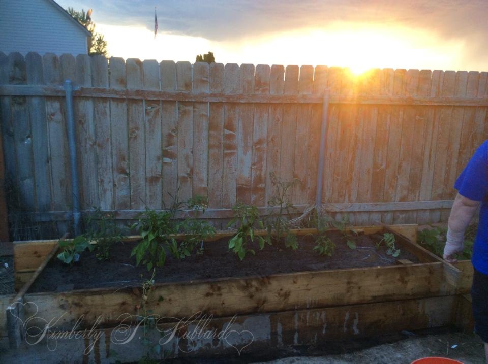 Raised Beds Make It So Much Easier