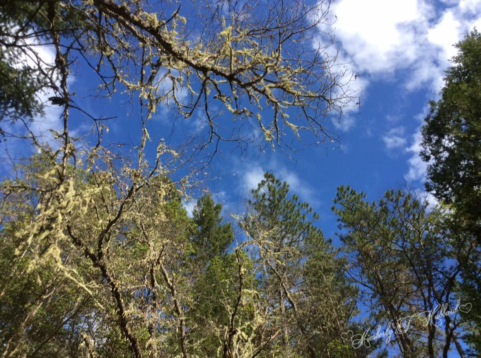 Idaho Mountain Sky