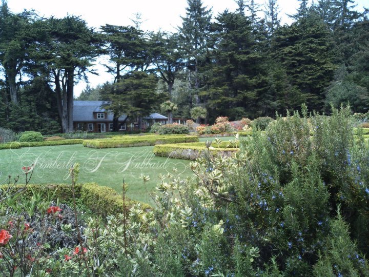 The Grounds