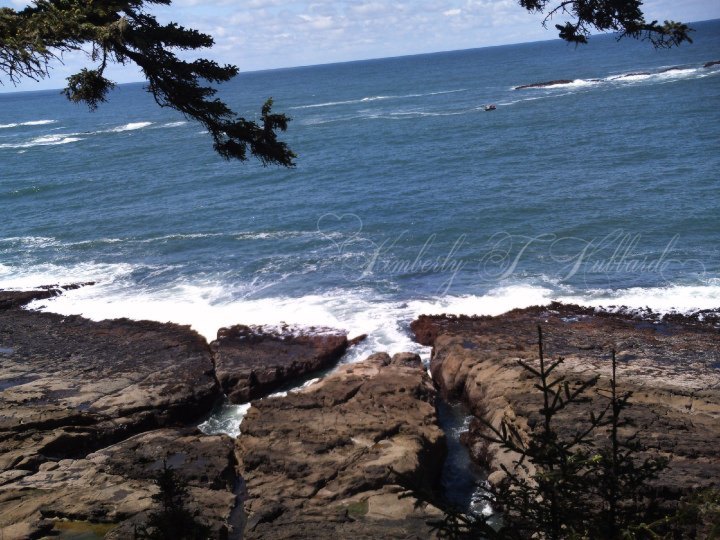 Overlooking The Pupping Area Of Simpson Reef