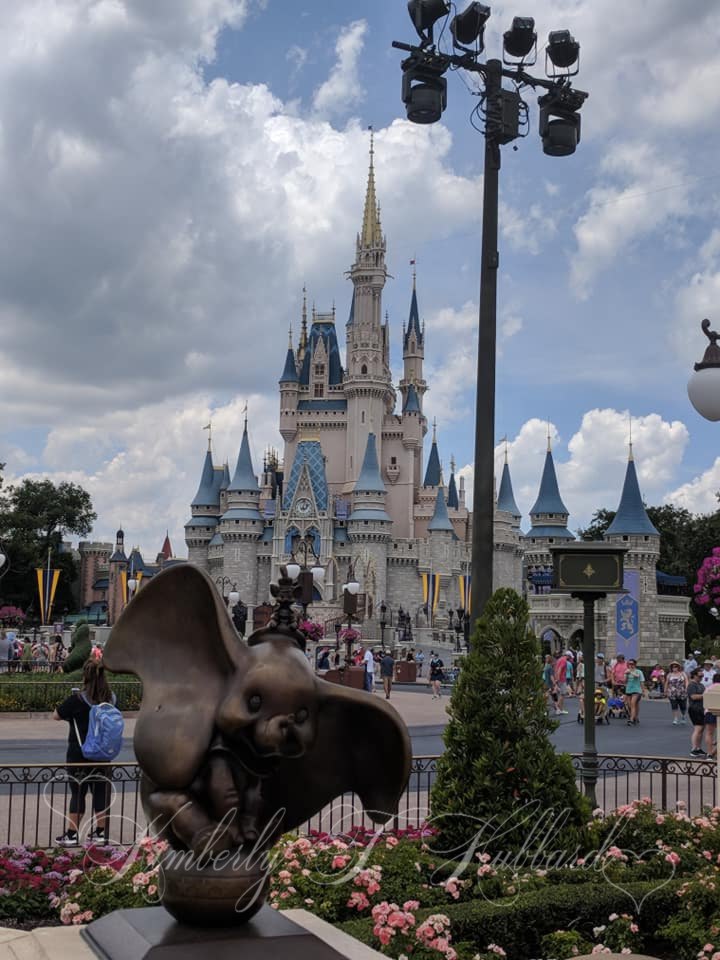 A Beautiful Day at the Magic Kingdom