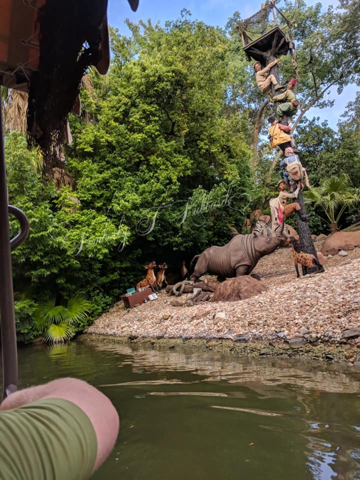 Jungle Cruise Ride