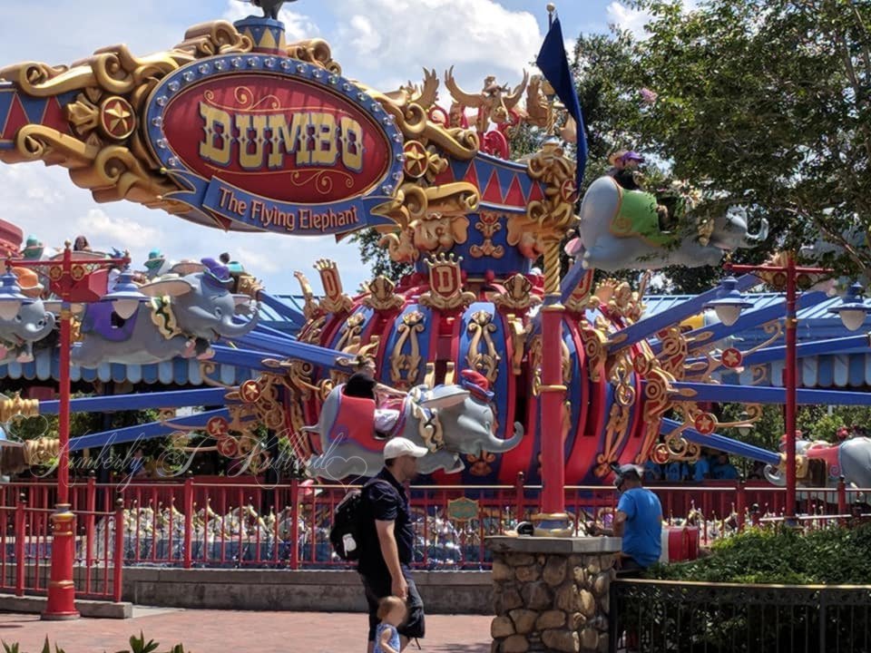 It's not a Trip to Disney Without A Flight on Dumbo