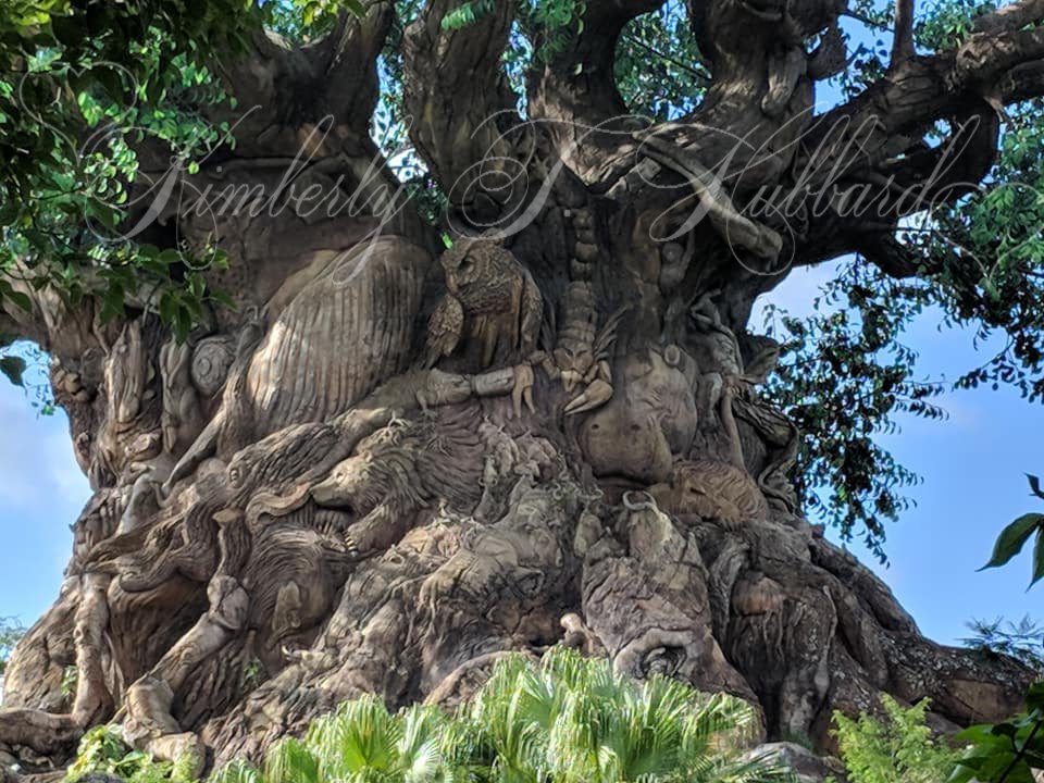 The Details on the Tree of Life are Astounding