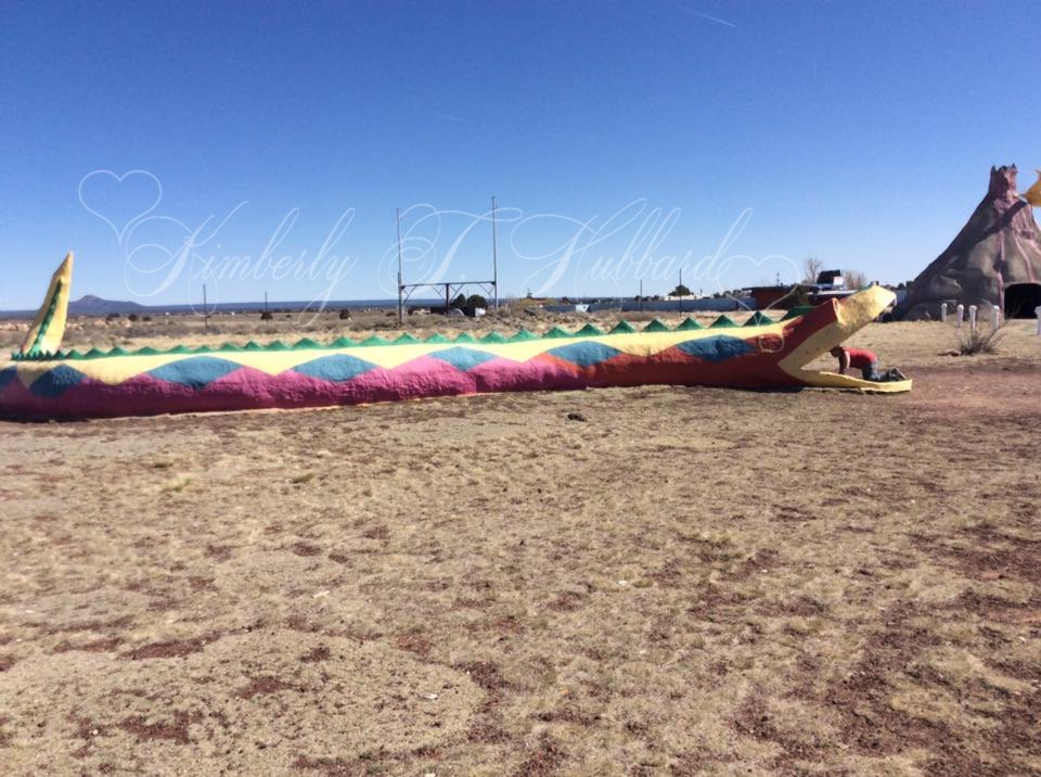 Seems Reasonable To Play In A Giant Snake In The Desert