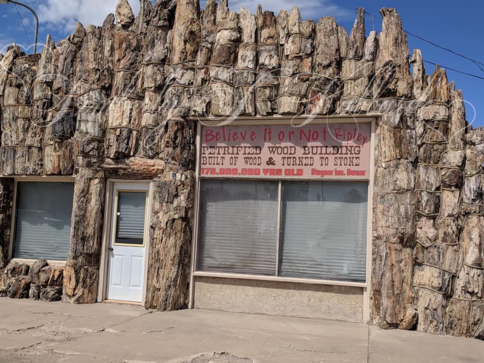 Petrified Wood Building