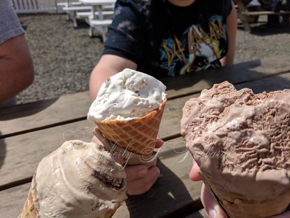 Tillamook Ice Cream