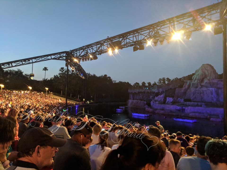 Sure Glad We Have Reserved Seating for Fantasmic - Look At That Crowd!