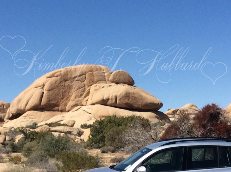 Joshua Tree NP