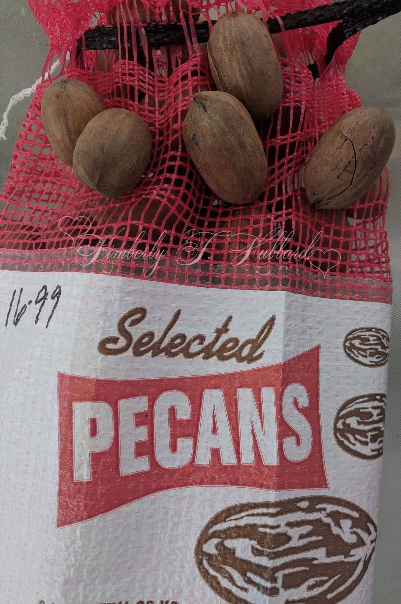 Georgia Pecans