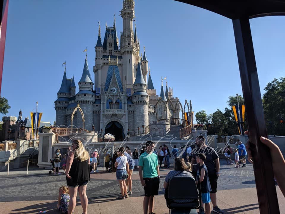 Cinderella's Castle