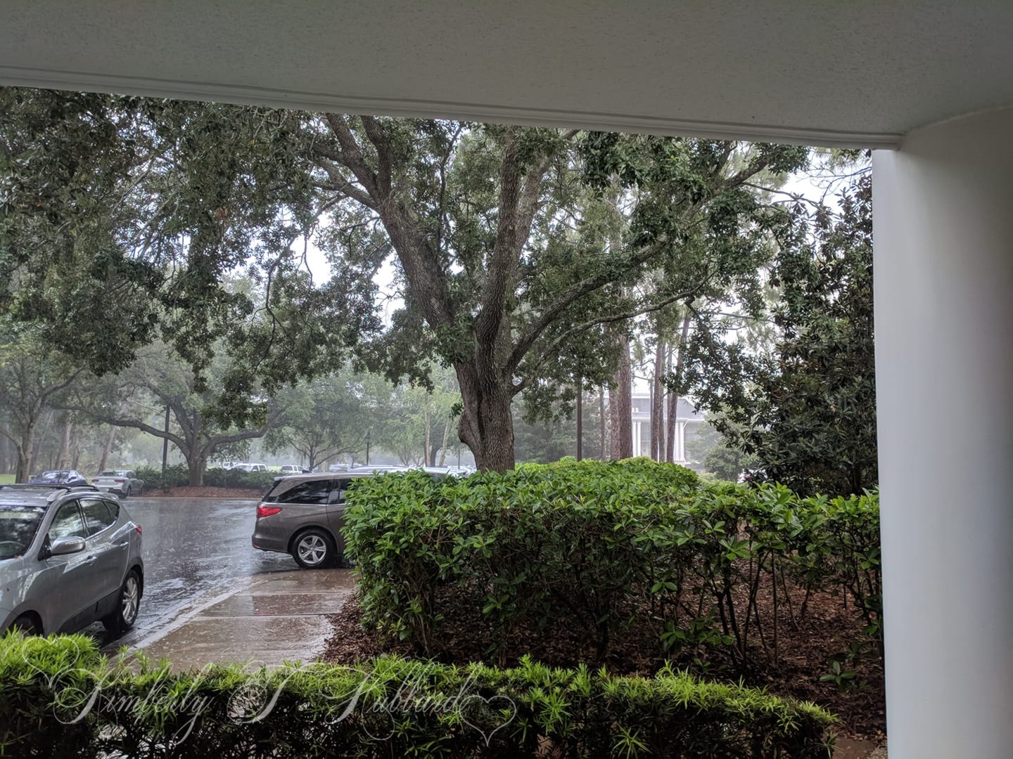 Florida Monsoon