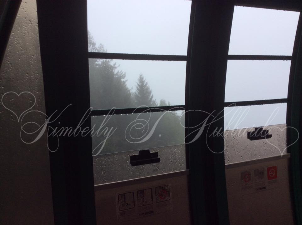 Foggy view from the Sky Trail