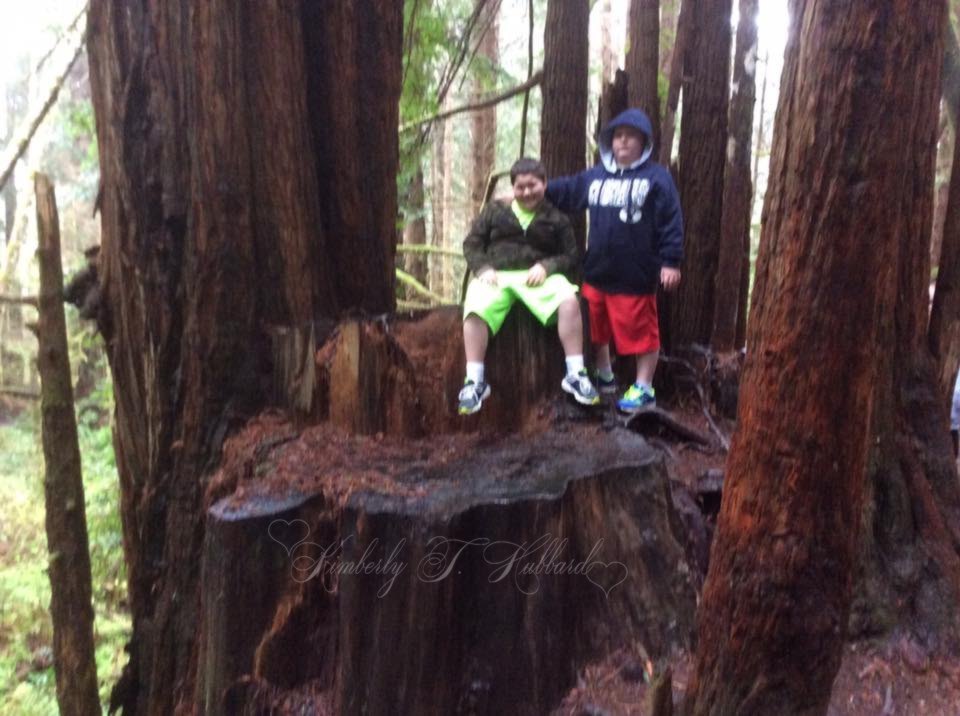 That's one big stump!