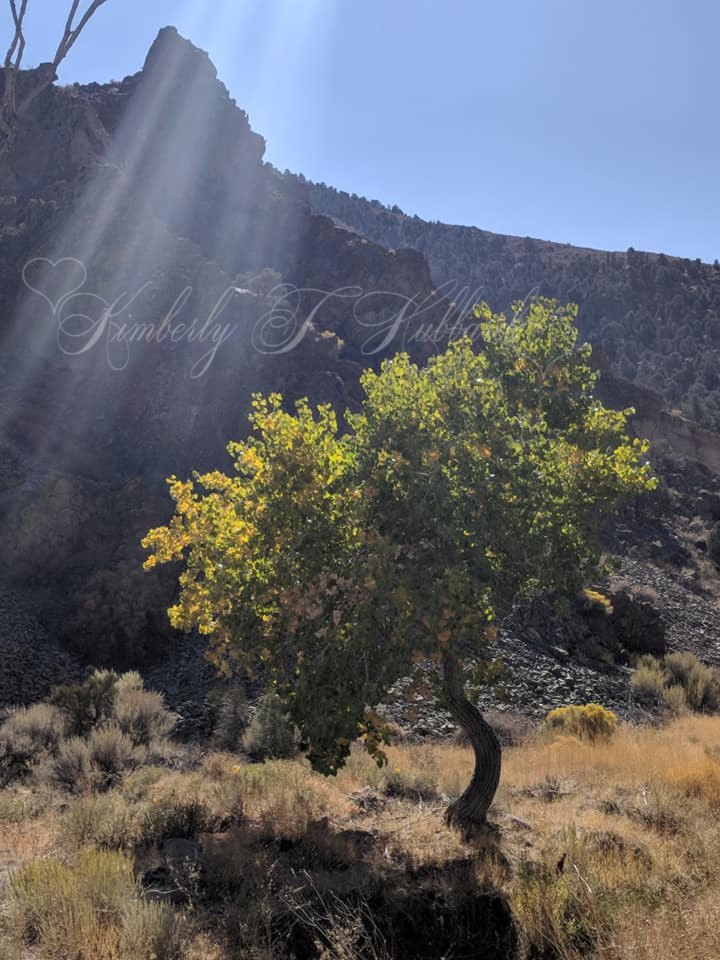 6 Mile Canyon