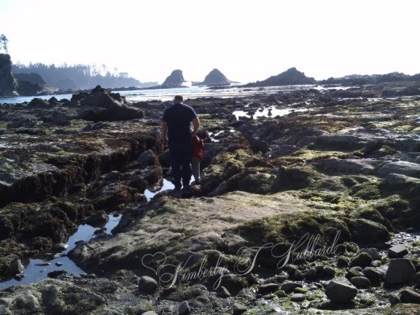 Tide Pooling