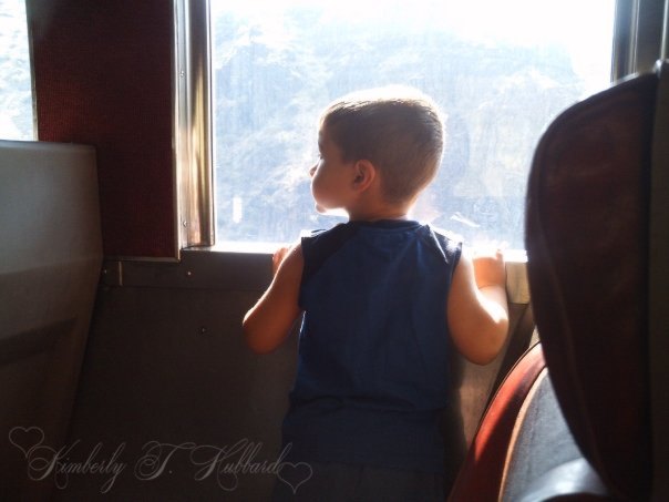 Closed Train Car - Thunder Mountain Express