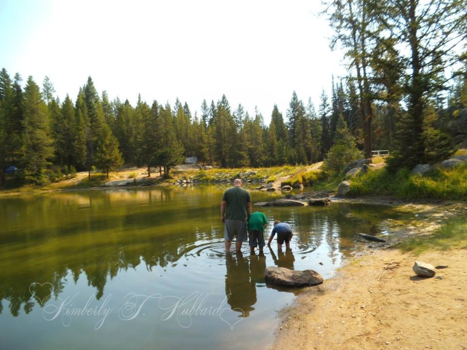 Chasing Tadpoles