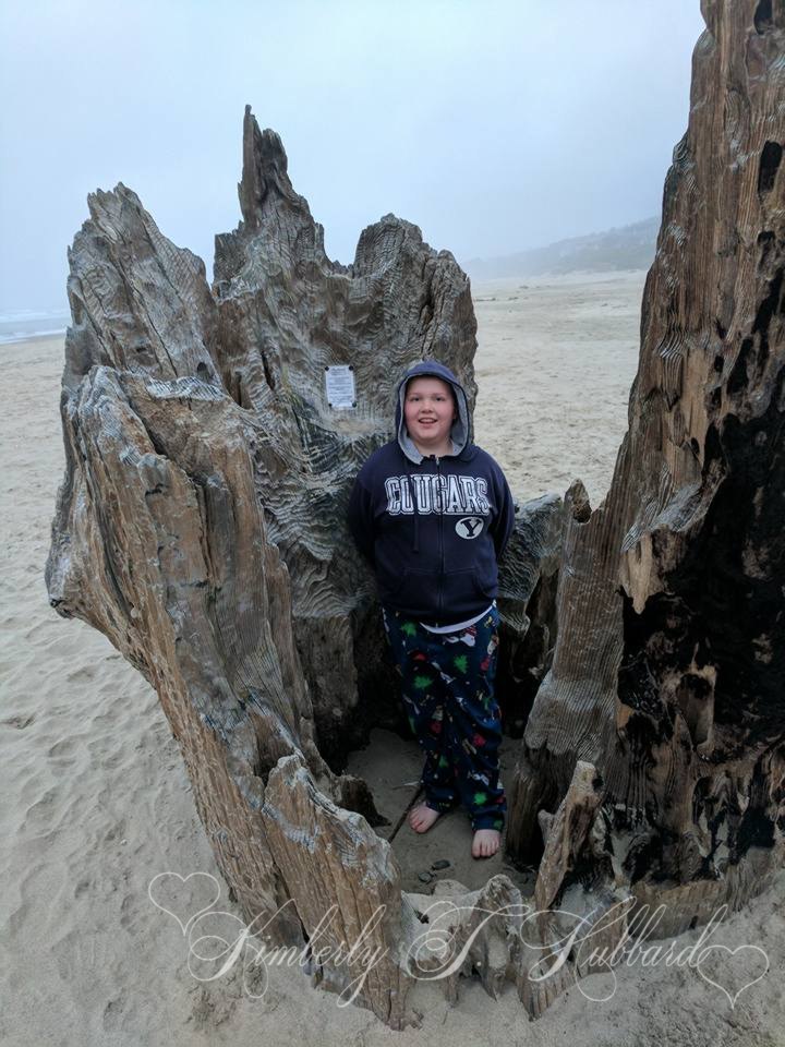 Inside Big Stump (Redwood Stump)